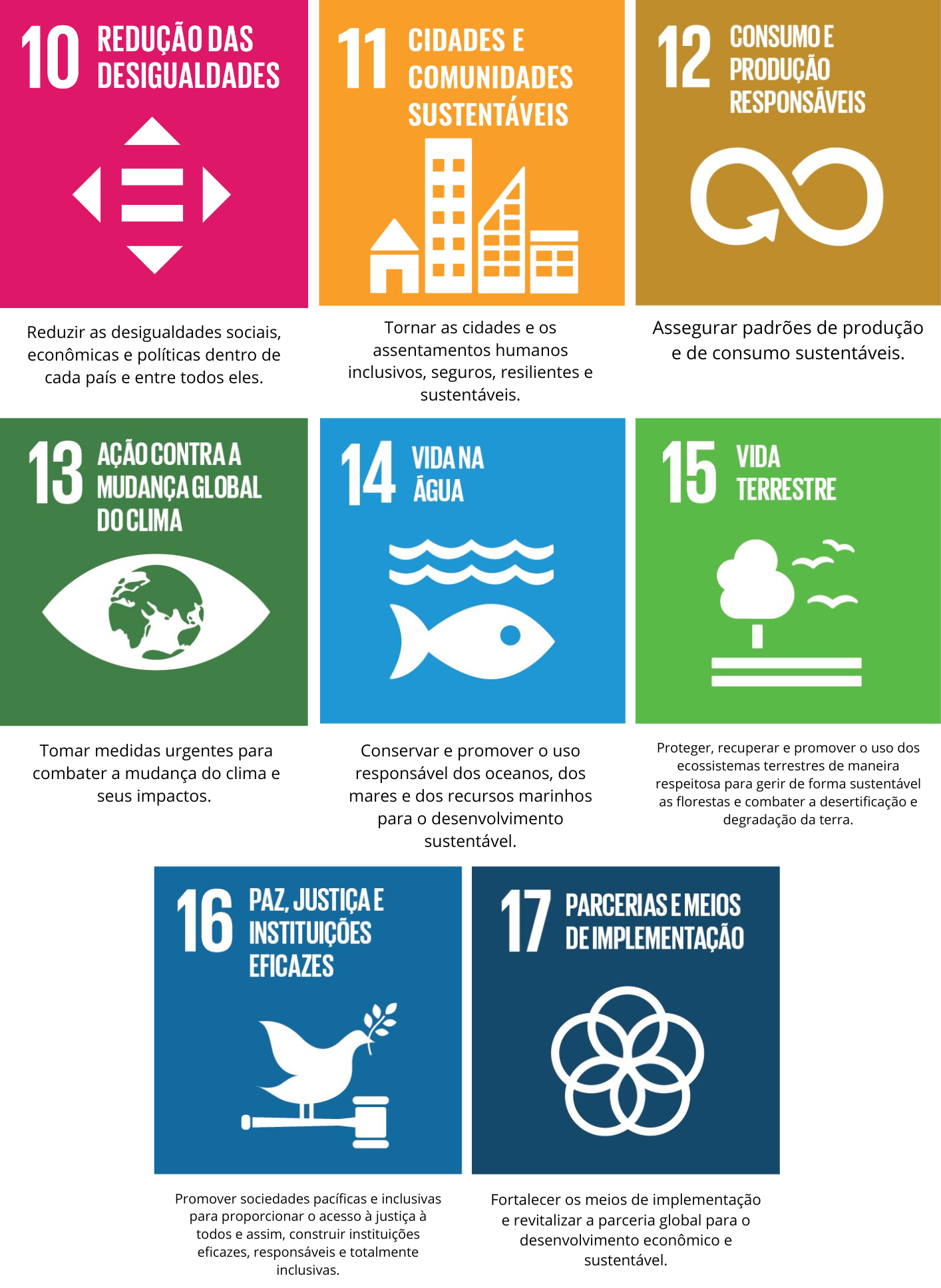 Agenda 2030: Conheça Os 17 Objetivos De Desenvolvimento Sustentável ...